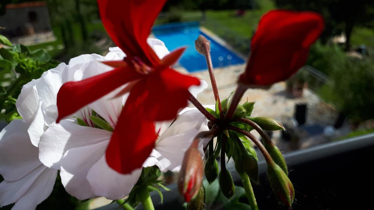 Pension Am Weinberg Bed & Breakfast Mainstockheim Exteriér fotografie