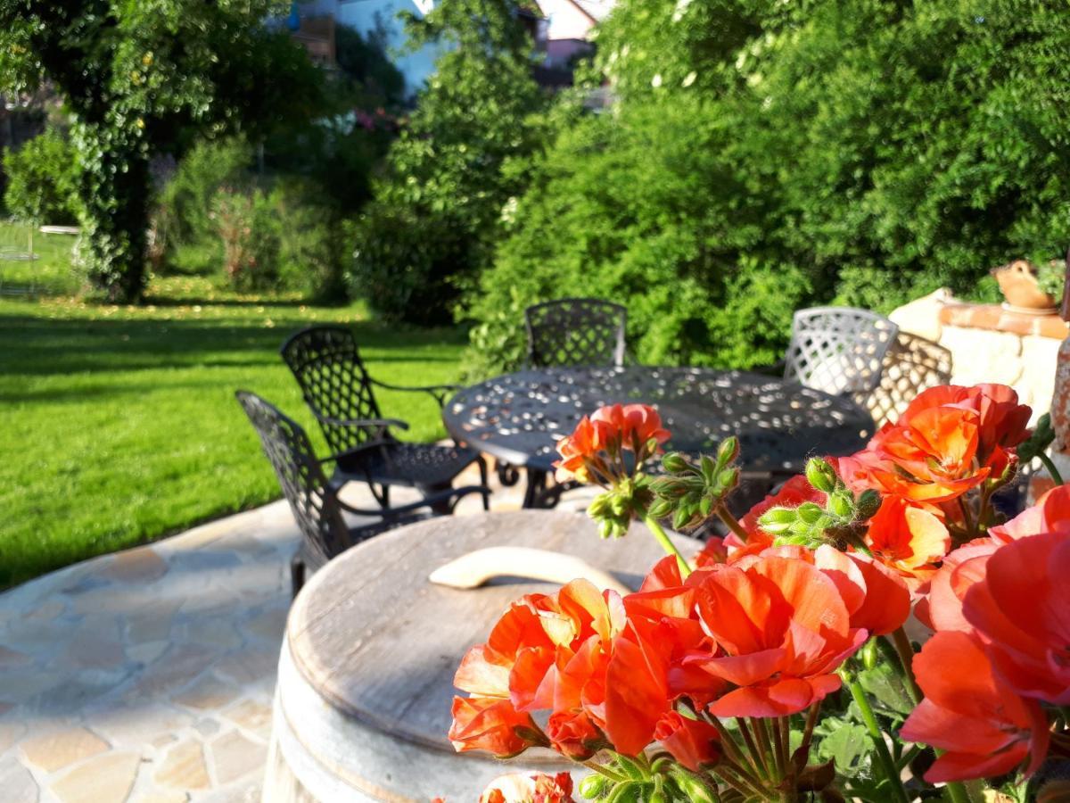 Pension Am Weinberg Bed & Breakfast Mainstockheim Exteriér fotografie
