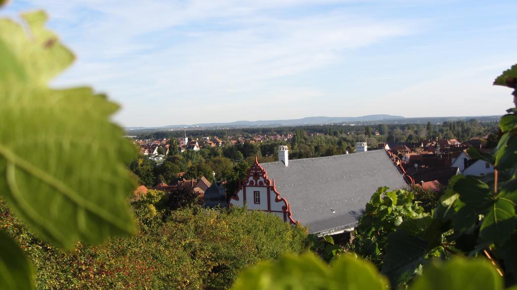 Pension Am Weinberg Bed & Breakfast Mainstockheim Exteriér fotografie